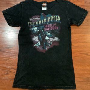 HARLEY DAVIDSON THUNDER CREEK S